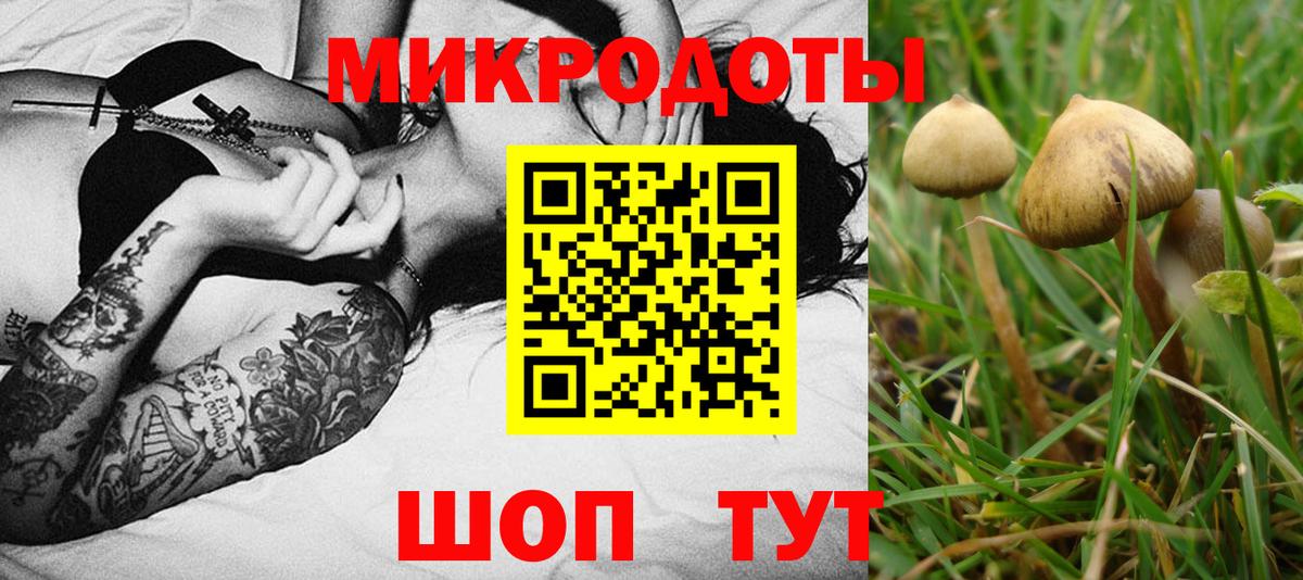 Псилоцибиновые грибы Cubensis  Вход с VPN  Галлюциногенные грибы Psilocybe  Сарапул 